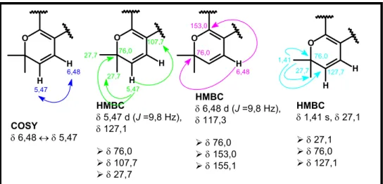 FIGURA 4.56. Correlações e acoplamentos apresentados nos experimentos de  HMBC e COSY para os sinais de hidrogênios em δ 5,47, δ 6,48 e δ 1,41