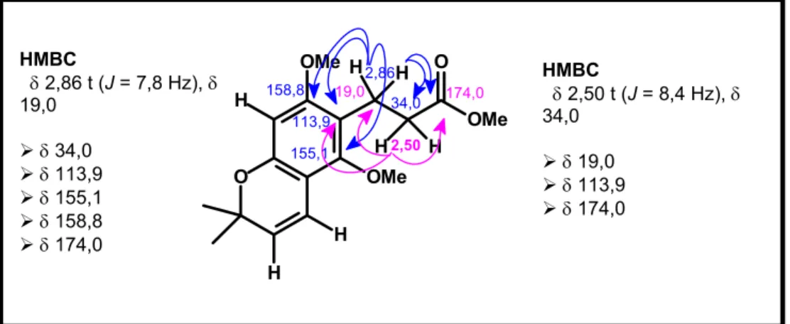 FIGURA 4.58. Correlações apresentadas no experimento de HMBC para os sinais  de hidrogênios em δ 2,86 (H-3) e δ 2,50 (H-2)