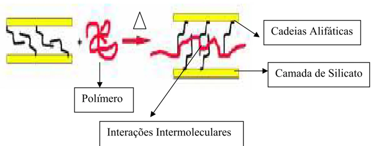 Figura 4.6 – Esquema ilustrativo do mecanismo de intercalação da argila  organofílica na matriz polimérica no estado fundido [20]