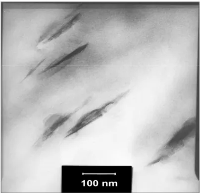 Figura 7.9 – Micrografia do nanocompósito de PA6 / 3% argila organofílica  tratada com sal PRA