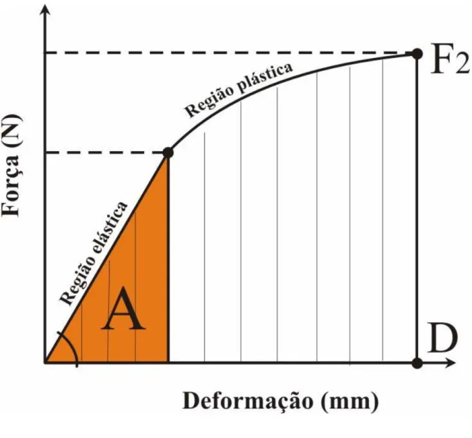 Figura 2. Representação do gráfico força-deformação obtido durante o teste de flexão a três  pontos do fêmur de ratas