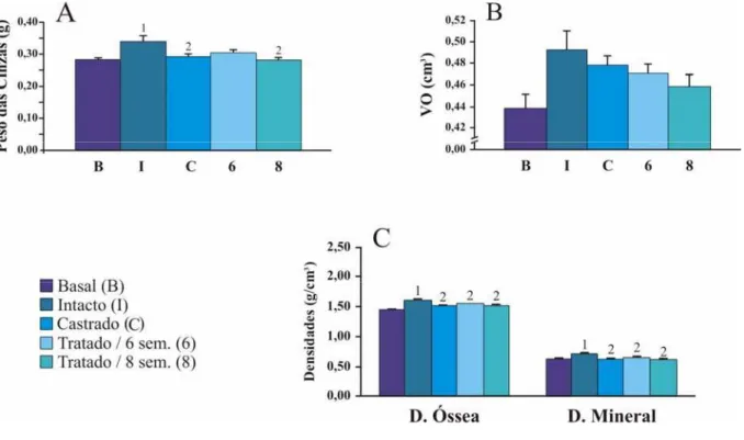 Figura 6. Média  ±  EPM do peso das cinzas (A), volume ósseo (VO) (B), densidade óssea e  densidade mineral (C), obtidos através de ensaios físicos em fêmures de ratas dos diferentes  grupos experimentais,   n=7-9, para   1  p&lt; 0,05 vs Basal,  2  vs Int