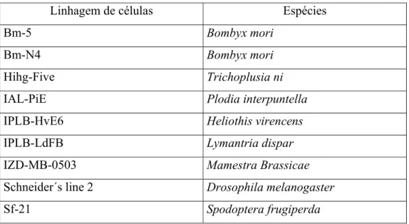 Tabela 2.1. Lista das nove linhagens de células de inseto investigadas com potencial  para sistema de expressão de proteínas recombinantes