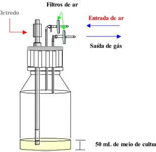 Figura 3.1. Representação esquemática do frasco Schott modificado para realização  de cultivo envolvendo as células de inseto S2