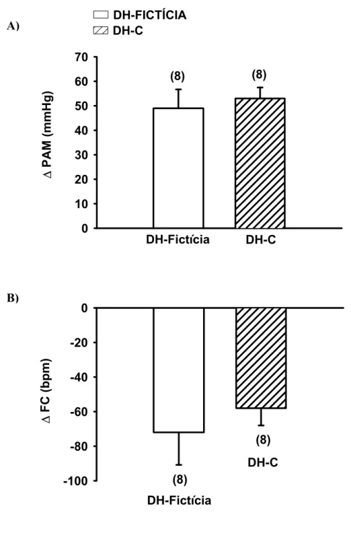 FIGURA 6: Variações da pressão arterial média ( ∆  PAM, A) e freqüência cardíaca ( ∆  FC, B)  produzida pela injeção iv de fenilefrina (5µg/ kg) em ratos com DH-C ou DH-Fictícia aguda (1 dia)