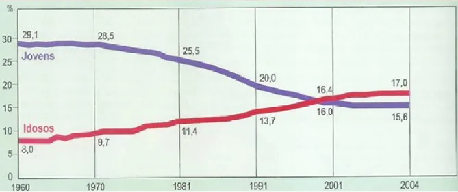 Figura 1.1. Representação do envelhecimento da população portuguesa nos anos de 1960 até  2004
