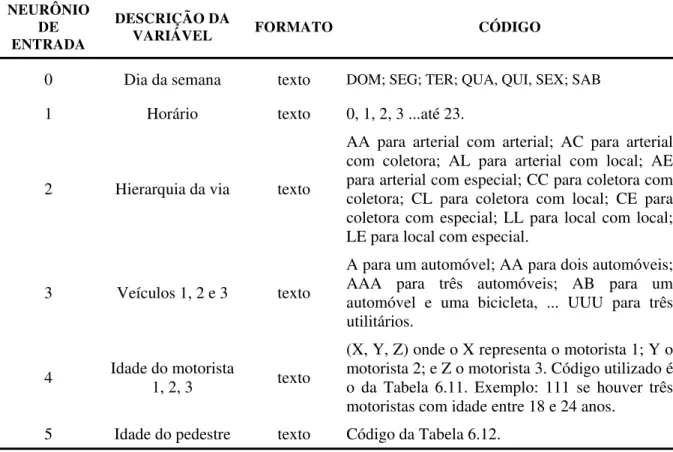 Tabela 6.13- Características dos neurônios de entrada do modelo de RNA para predição. 