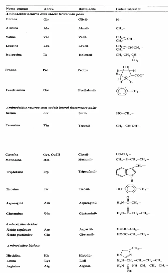 FIGURA 1.1 – Classificação dos vinte aminoácidos e suas respectivas cadeias  laterais