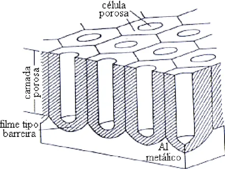 Figura 5 : Representação esquemática da estrutura da camada porosa de alumina sobre um substrato de Al