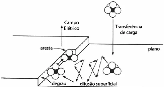 Figura 34 : Representação da desidratação dos íons para diferentes regiões do eletrodo [40] 