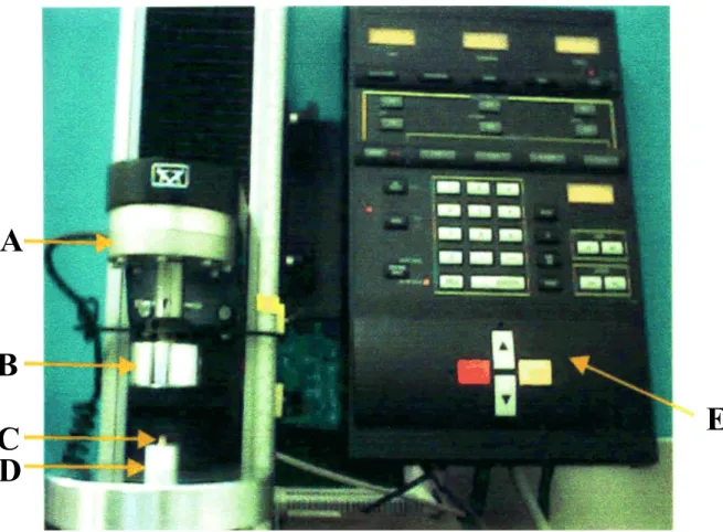 Figura 1. Foto da máquina de ensaio universal Instron (modelo 4444) demonstrando  um teste de compressão da vértebra de rato