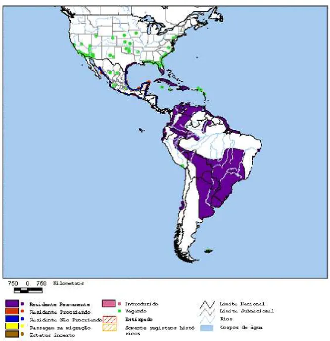 Figura 4. Distribuição da espécie Platalea ajaja no continente americano. Modificado de: 