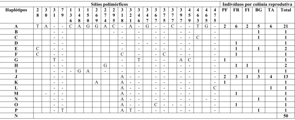 Tabela 1. Distribuição geográfica e ocorrência dos 16 haplótipos determinados para o fragmento de 483 pb da região controladora do DNAmit nas  populações de P