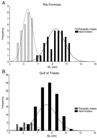 Fig. 2. Scatterplot of standard length vs gonado-somatic index (testes weight / eviscerated weight × 100) of all male morphs in both populations.