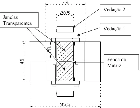 Figura 3.1: Matriz de extrusão tipo fenda mostrando a janela  transparente e o sistema duplo de vedação