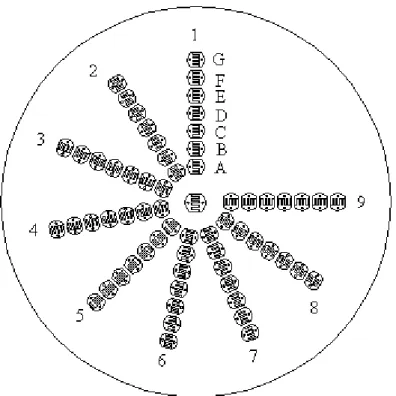 Figura 3.8: Diagrama da disposição radial das fotocélulas LDRs no  detector e sua nomeação através das letras (A – G) e dos raios (1 – 9)
