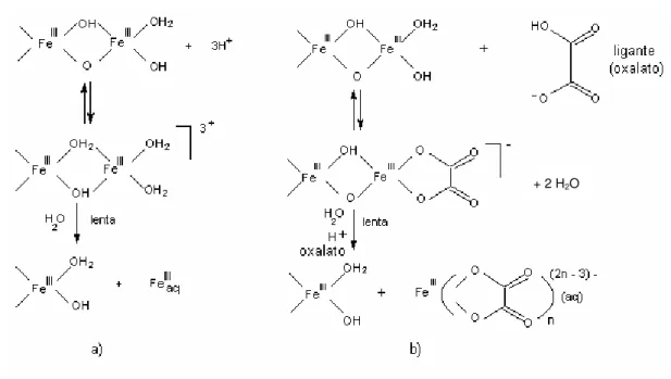Figura 1.13 (a) - Representação esquemática dos vários modos de dissolução para os  hidróxidos de Fe(III): a) por prótons, b) por complexos bidentados que formam  quelatos na superfície  10 .