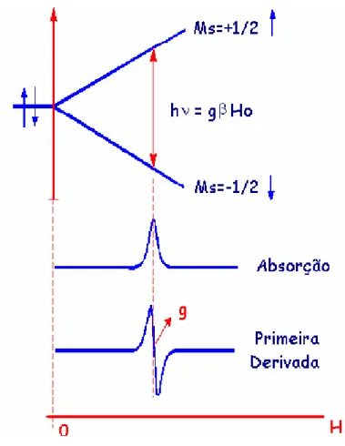 Figura 1.14. Separação dos níveis de energia de spin eletrônico (S=1/2) pelo efeito  Zeeman em um campo magnético externo aplicado(H)