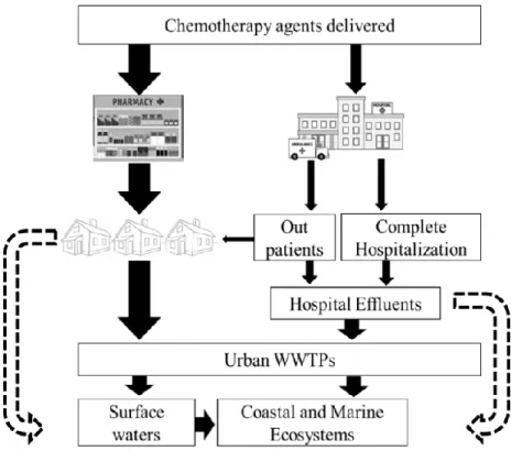 Figure 1.8: Sources and pathways for anticancer drugs into coastal waters. Dashed arrows  illustrate the additional course of wastewater in developing regions, where raw domestic and  hospital effluents follow straightforward route into aquatic ecosystems