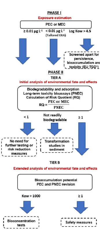 Figure 1.12: Flow chart for the ERA (Environmental Risk Assessment) based on the  European Medicines Agency Guideline (EMA, 2006)