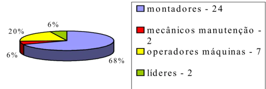 FIGURA 4.3.3.2 – Distribuição percentual dos cargos analisados antes das  promoções 