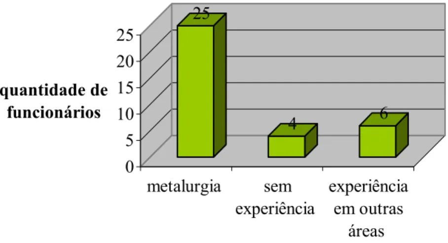 FIGURA 4.4.2 – Experiência apresentadas pelo grupo selecionado em 1998 