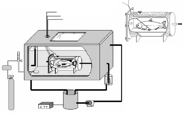 FIGURA 3. Esquema do tanque experimental e do tubo de contensão utilizados para os  experimentos de eletrocardiografia