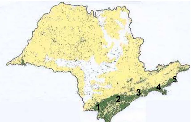 Figura 1. Áreas de estudo na mata Atlântica do Estado de São Paulo (Mapa: SOS Mata  Atlântica/INPE, 1996)