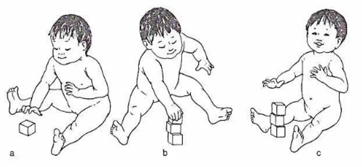 Figura 1. Habilidades manuais rudimentares de alcance (a), preensão (b) e soltar (c) na criança normal  Fonte: Gallahue e Ozmun (2003)