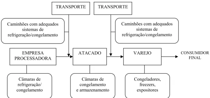 Figura 2.5 – Características dos meios de transporte e armazenamento do produto final  na cadeia de produtos congelados/refrigerados