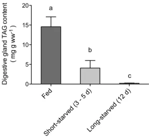 Fig. 1    Triacylglycerol (TAG) content in digestive gland from cut- cut-tlefish fed daily or starved for 3–5 or 12 days