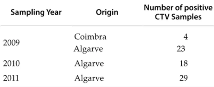 Table 1.  Origin and sampling year of positive CTV samples  studied. 