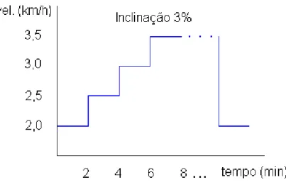 Figura 4 – Gráfico ilustrativo do protocolo utilizado no TECR 