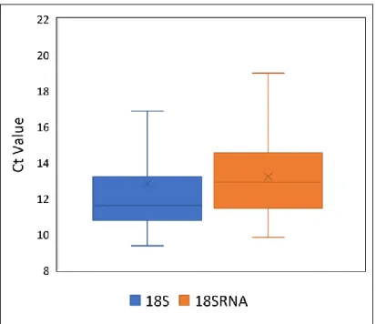 Figure 3.5. Average Ct values ( SD) of 18S and 18SRNA housekeeping genes obtained during the  experiment