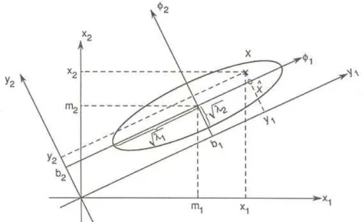 Figura 9. Ilustração gráfica da Transformação de Karhunen-Loève para caso gaussiano  bidimensional