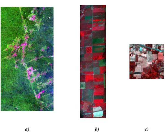 Figura 14. Imagens multiespectrais de sensoriamento remoto utilizadas no trabalho. 