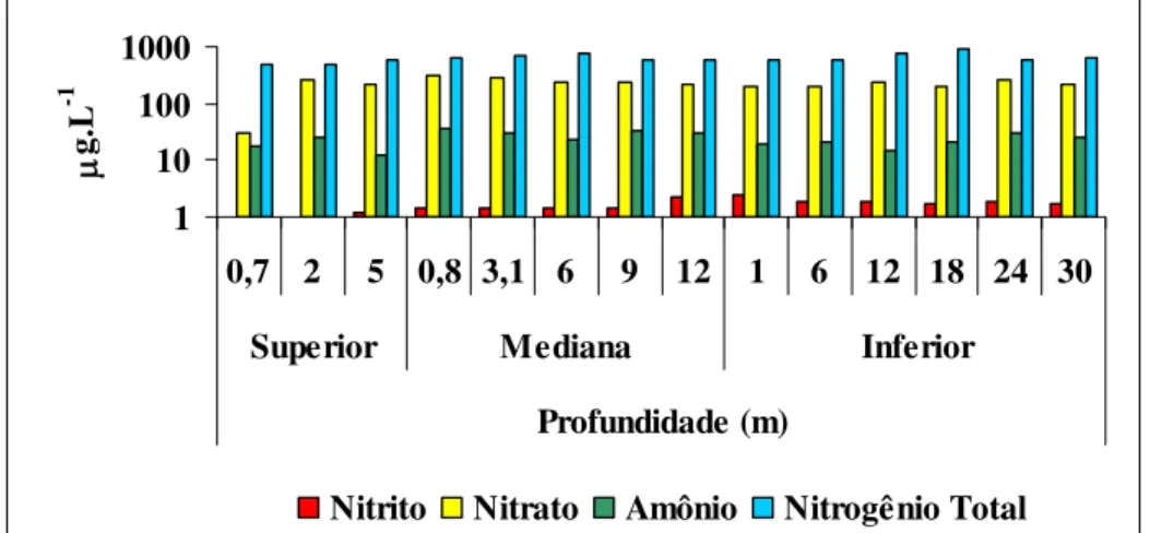 Figura 24. Variação dos valores de concentração dos compostos nitrogenados na água  (µg.L -1 ), em relação à profundidade,  em  três transectos correspondentes às porções  superior, mediana e inferior do reservatório de Nova Avanhandava, em agosto de 2003 