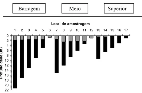 Figura 19: Valores da profundidade máxima e da transparência da água na represa de  Ibitinga, nas três porções, no período chuvoso, em novembro de 2002