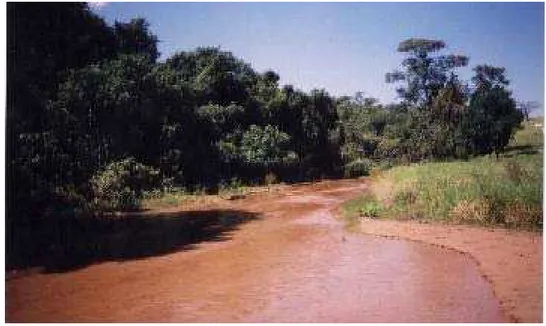 Figura 10: Vista Geral do Córrego Monjolinho (M4: mata ciliar preservada). 