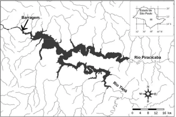 Figura 1. Localização do reservatório de Barra Bonita no Estado de São Paulo e do ponto de coleta  (o)
