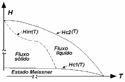 Figura 9: Esboço representando um diagrama de fases magnéticas dando ênfase à linha  H irr (T)