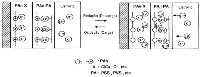 FIGURA 1.12:  Modelo esquemático da compensação de cargas no eletrodo em  camadas de Pani-X/Pani-PSS (MORITA et al, 1995)