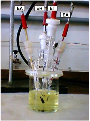 FIGURA 2.1: Fotografia da célula eletroquímica utilizada, indicando a posição do  eletrodos de trabalho (ET), de referência (ER) e dos eletrodos auxiliares (EA)