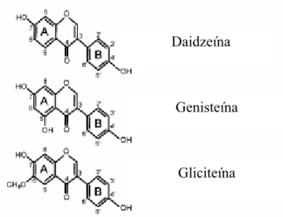 FIGURA 1 - Estrutura química das principais isoflavonas da soja (forma ativa). 