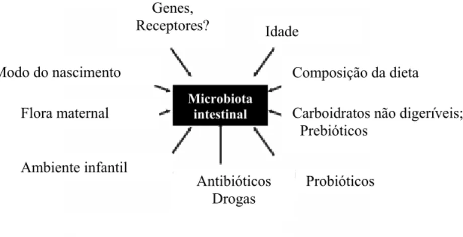 FIGURA 3 - Principais fatores que influenciam a composição da microbiota intestinal.  