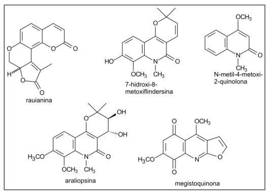 Figura 1.4- Estruturas químicas das substâncias isoladas de Rauia sp.  