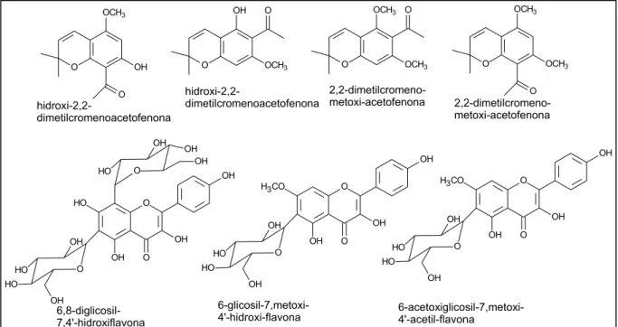 FIGURA 1.5- Estruturas químicas das substâncias isoladas de Conchocarpus  cuneifolius