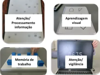Figura 3.3 Exemplo de testes cognitivos do programa MATRICS. 