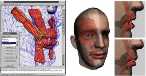 Figura 3.16: Modelo muscular posicionado na face 3D usado para a animação (Fonte: 