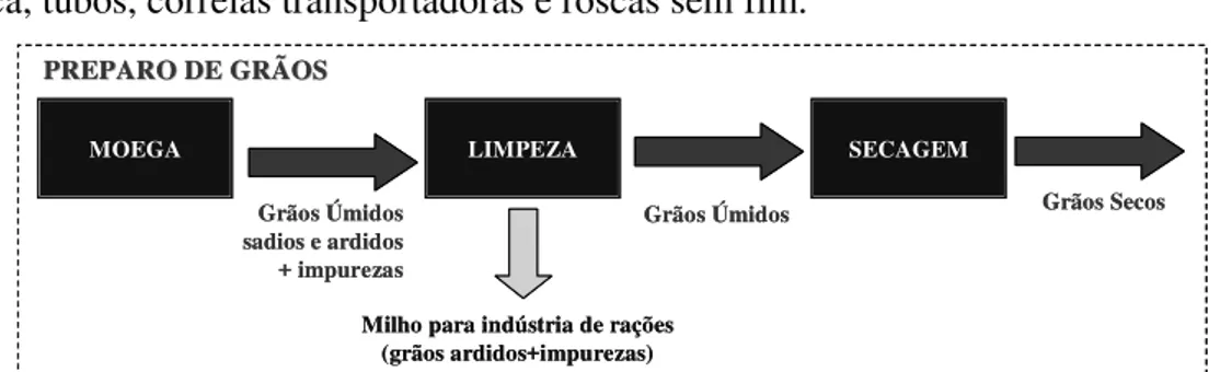 Figura 8: Detalhamento do preparo de grãos. 